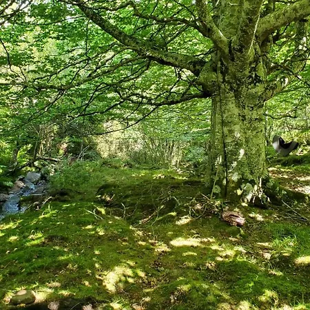 Nyaraló El Trineo De Campoo - Alto Campoo *