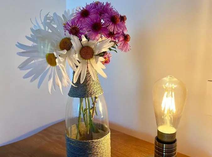 El Trineo De Campoo - Alto Campoo Suano