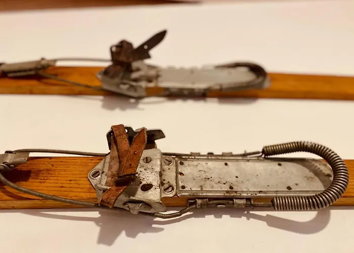 El Trineo De Campoo - Alto Campoo * Suano