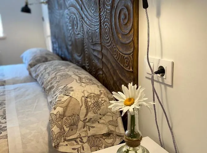 El Trineo De Campoo - Alto Campoo Nyaraló Suano