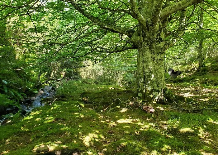 Nyaraló El Trineo De Campoo - Alto Campoo *
