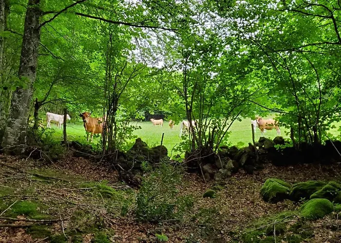 Nyaraló El Trineo De Campoo - Alto Campoo Suano